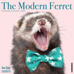 2026 Willow Creek Press Animals Monthly Wall Calendar, 12" x 12", Modern Ferret (The), January To December, 51962
