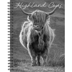2026 Willow Creek Press Weekly Engagement Calendar, 6-1/2" x 8-1/2", Highland Cows, January To December, 58480
