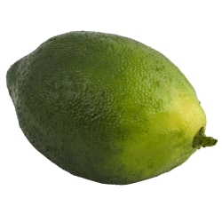 Nearly Natural Faux Limes, 2" x 3", Green, Set Of 12 Limes
