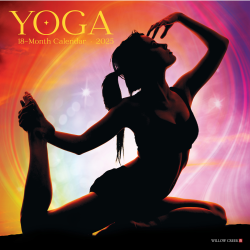 2025 Willow Creek Press Hobbies Monthly Wall Calendar, 12" x 12", Yoga, January To December, 46678