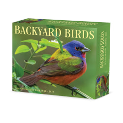 2025 Willow Creek Press Daily Desk Box Calendar, Animals, 5-1/2" x 6-1/4", Backyard Birds, January To December, 40614