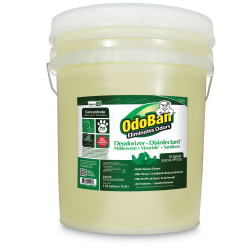 OdoBan® Concentrated Odor Eliminator and Disinfectant, Eucalyptus, 5 gal Pail