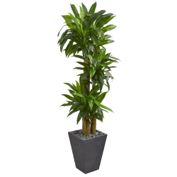 Nearly Natural 5-1/2'H Real-Touch Polyethylene Cornstalk Dracaena Plant With Planter, Green/Slate