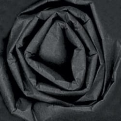 Partners Brand Black Gift Grade Tissue PaPer Sheets, 20" x 30", 480 Sheets