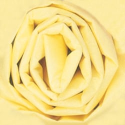 Partners Brand Yellow Gift Grade Tissue PaPer Sheets, 20" x 30", 480 Sheets