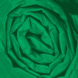 Partners Brand Kelly Green Gift Grade Tissue PaPer Sheets, 20" x 30", 480 Sheets