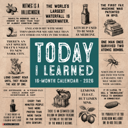 2026 Willow Creek Press Humor & Comics Monthly Wall Calendar, 12" x 12", Today I Learned, January To December, 52976