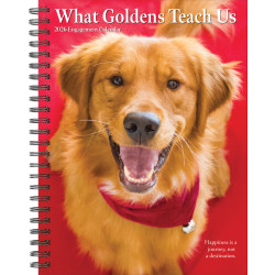 2026 Willow Creek Press Weekly Engagement Calendar, 6-1/2" x 8-1/2", Golden Retrievers, January To December, 54680