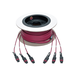 Tripp Lite 24-Fiber MTP MPO OM4 Base-8 MMF Trunk Cable 40/100GbE 3X, 11M - Network cable - MTP/MPO multi-mode (F) to MTP/MPO multi-mode (F) - 11 m - fiber optic - 50 / 125 micron - OM4 - plenum, stranded - magenta