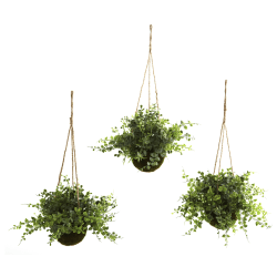Nearly Natural Eucalyptus, Maiden Hair & Berry Artificial 9"H Plants With Hanging Baskets, 9"H x 12"W x 12"D, Green, Set Of 3