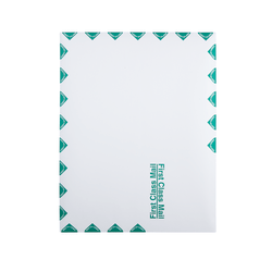 Quality Park® Redi-Strip™ Catalog Envelopes, First Class, 10" x 13", Self-Sealing, White, Box Of 100