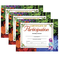Hayes Publishing Certificate Of Participation, 8.5" x 11", 30 Per Pack, Set Of 3 Packs