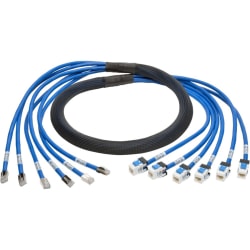 Tripp Lite 6ft Augmented Cat6 Cat6a Pre-Terminated Copper trunk Bundle 6xRJ45 M/F 6' - First End: 6x R - N2610066MFBL