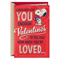 Hallmark Peanuts Funny Valentine's Day Card With Mini Cards (Snoopy So Much Love)