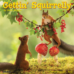 2026 Willow Creek Press Humor & Comics Monthly Wall Calendar, 12" x 12", Gettin' Squirrelly, January To December, 51252