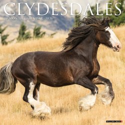2026 Willow Creek Press Animals Monthly Wall Calendar, 12" x 12", Clydesdales, January To December, 55373