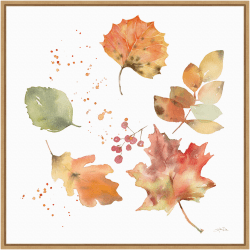 Amanti Art Falling Leaves I by Katrina Pete Framed Canvas Wall Art Print, 22"H x 22"W, Maple