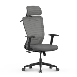 Flexispot C3 Ergonomic Mesh High-Back Office Chair, Gray/Black