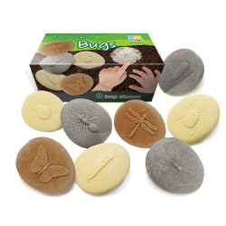 Yellow Door Let's Investigate Bugs Stone, Pack Of 8