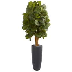 Nearly Natural Fiddle Leaf 66"H Artificial Tree With Cylinder Planter, 66"H x 25"W x 25"D, Green
