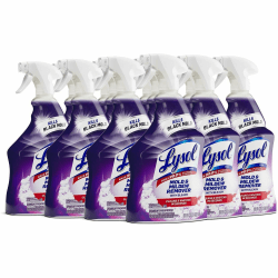 Lysol Mold/Mildew Remover - For Tile, Ceramic, Tub, Hard Surface, Nonporous Surface, Vinyl Curtains, Grout - 78915CT