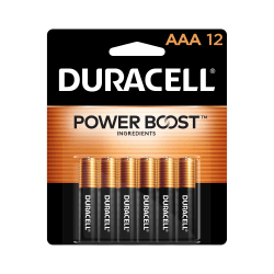 Duracell® Coppertop AAA Alkaline Batteries, Pack Of 12