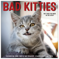 2026 Willow Creek Press Animals Monthly Wall Calendar, 12" x 12", Bad Kitties, January To December, 50040