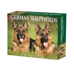 2024 Willow Creek Press Page-A-Day Daily Desk Calendar, 5" x 6", German Shepherds, January To December