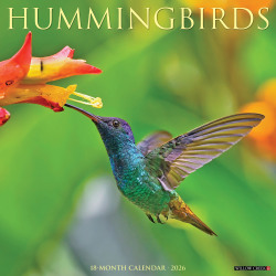 2026 Willow Creek Press Animals Monthly Wall Calendar, 12" x 12", Hummingbirds, January To December, 51528
