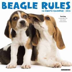 2025 Willow Creek Press Animals Wall Calendar, 12" x 12", Beagle Rules, January To December, 41659