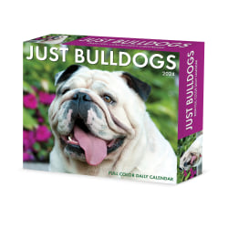 2024 Willow Creek Press Page-A-Day Daily Desk Calendar, 5" x 6", Bulldogs, January To December