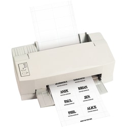 Partners Brand Badge Inserts, 2" x 3", White, Case Of 280