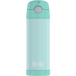 Thermos® Stainless Steel Funtainer Water Bottle With Spout, 16 Oz, Mint