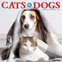 2026 Willow Creek Press Animals Monthly Wall Calendar, 12" x 12", Cats & Dogs, January To December, 50620