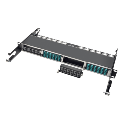 Eaton Tripp Lite Series 40Gb High Density Pass-Through Cassette 12 12-Fiber MTP/MPO - Fiber optic cassette - MTP/MPO X 12 - black