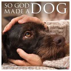 2026 Willow Creek Press Animals Monthly Wall Calendar, 12" x 12", So God Made a Dog, January To December, 52860