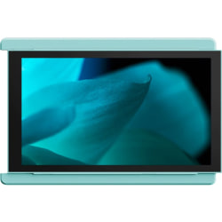 Mobile Pixels DUEX Lite 13" Class Full HD LCD Monitor - 16:9 - Jadeite Green - 12.5" Viewable - 1920 x 1080 - 300 Nit - 60 Hz Refresh Rate - DisplayPort