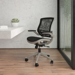 Flash Furniture Mesh Mid-Back Executive Office Chair, Black/Graphite Silver