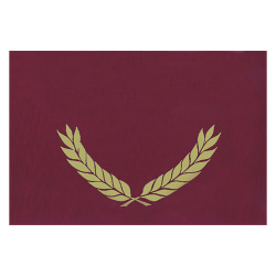 Hayes Publishing Gold Foil Stamped Maroon Certificate Folders, 10" x 13", Pack Of 30