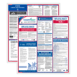 ComplyRight™ Federal And State Labor Law 1-Year Poster Service, English, Washington D.C.
