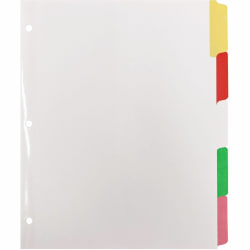 Business Source Laminated Write-On Tab Indexes - 5 Write-on Tab(s) - 5 Tab(s)/Set - 11" Tab x 8.50" Ta - 20074