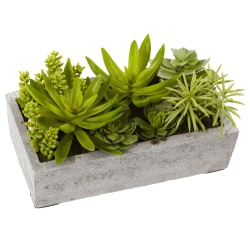 Nearly Natural Succulent 6-1/2"H Plastic Plant Garden With Concrete Planter, 6-1/2"H x 12-3/4"W x 8-1/2"D, Green