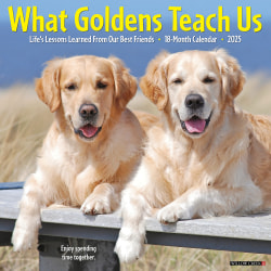 2025 Willow Creek Press Monthly Wall Calendar, 12" x 12", What Goldens Teach Us, January 2025 to December 2025, 45374