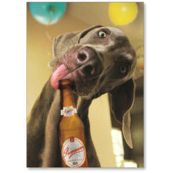 Viabella Fun Birthday Greeting Card With Envelope, Beer Dog, 5" x 7"
