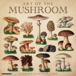 2026 Willow Creek Press Art & Design Monthly Wall Calendar, 12" x 12", Art of the Mushroom, January To December, 49914
