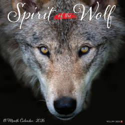 2026 Willow Creek Press Animals Monthly Wall Calendar, 12" x 12", Spirit of the Wolf, January To December, 52884