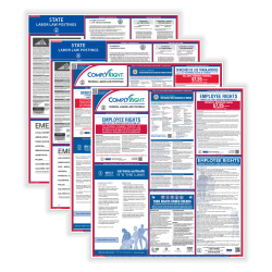 ComplyRight™ Federal And State Labor Law 1-Year Poster Service, Bilingual, Massachusetts