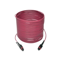 Tripp Lite MTP/MPO Multimode Patch Cable, 12 Fiber, 40/100 GbE, 40/100GBASE-SR4, OM4 Plenum-Rated (F/F), Push/Pull Tab, Magenta, 10 m (32.8 ft.)