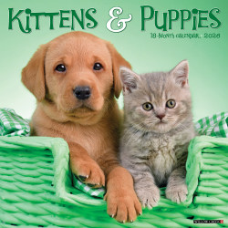 2026 Willow Creek Press Animals Monthly Wall Calendar, 12" x 12", Kittens & Puppies, January To December, 51702