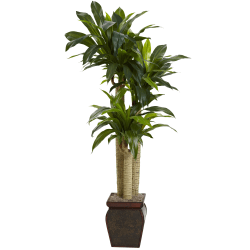Nearly Natural 4-1/2'H Artificial Cornstalk Dracaena Plant With Vase, Green/Brown